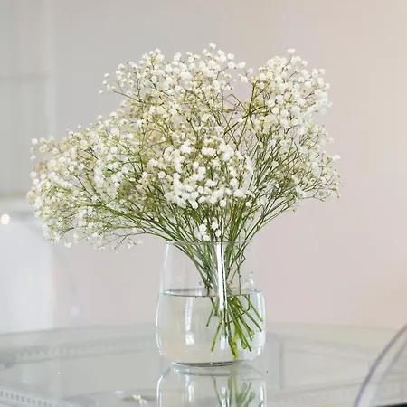 Elite Podwale Przedmiejskie Old Town Gdańsk