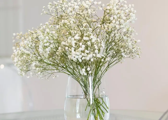 Elite Podwale Przedmiejskie Old Town Gdańsk